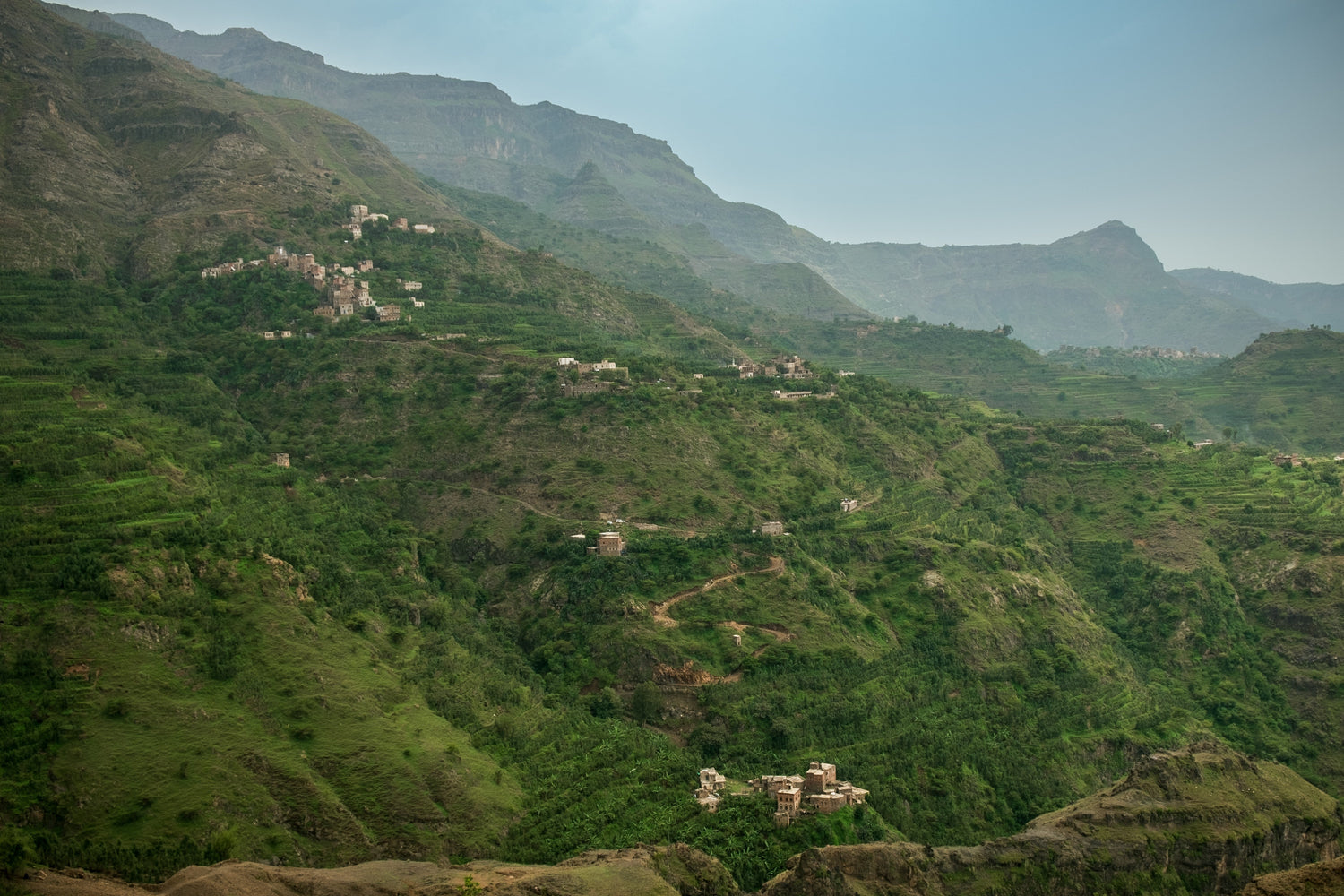 Yemeni coffee
