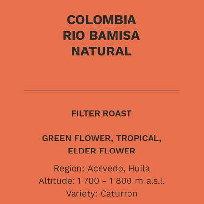 Río Bamisa