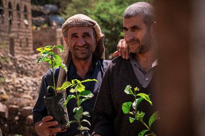 LIMITED SERIES AUCTION LOT: Hayma Dakhiliya
