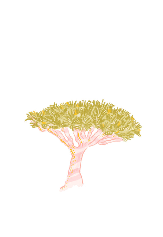 Dragon Blood Tree Sticker